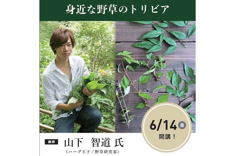 June 14th (Fri) Ishizaka Gijuku Special Open Lecture “Trivia about Common Wild Plants” Participants Wanted!