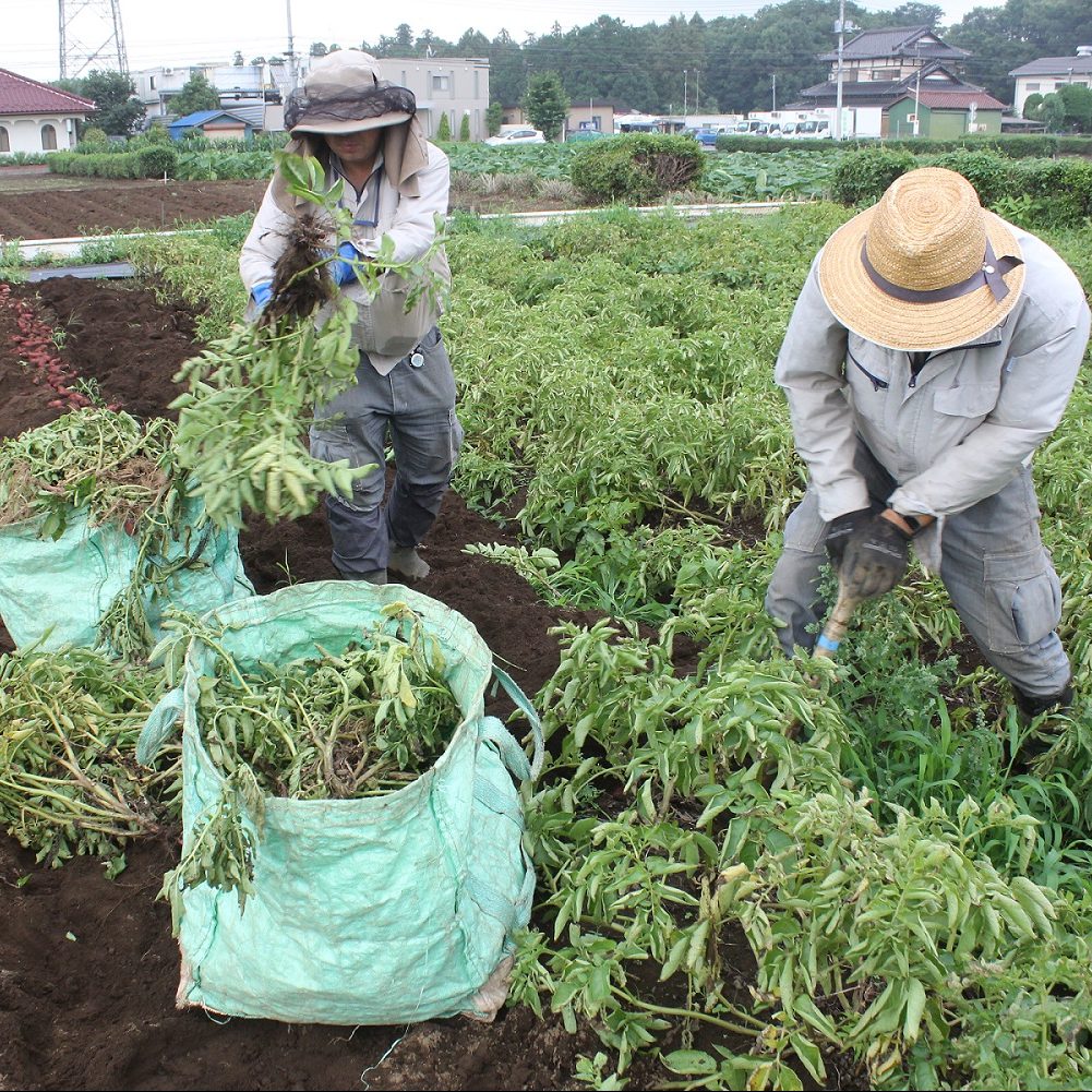 Ishizaka Farm’s efforts were featured in the Nikkan Kogyo Shimbun