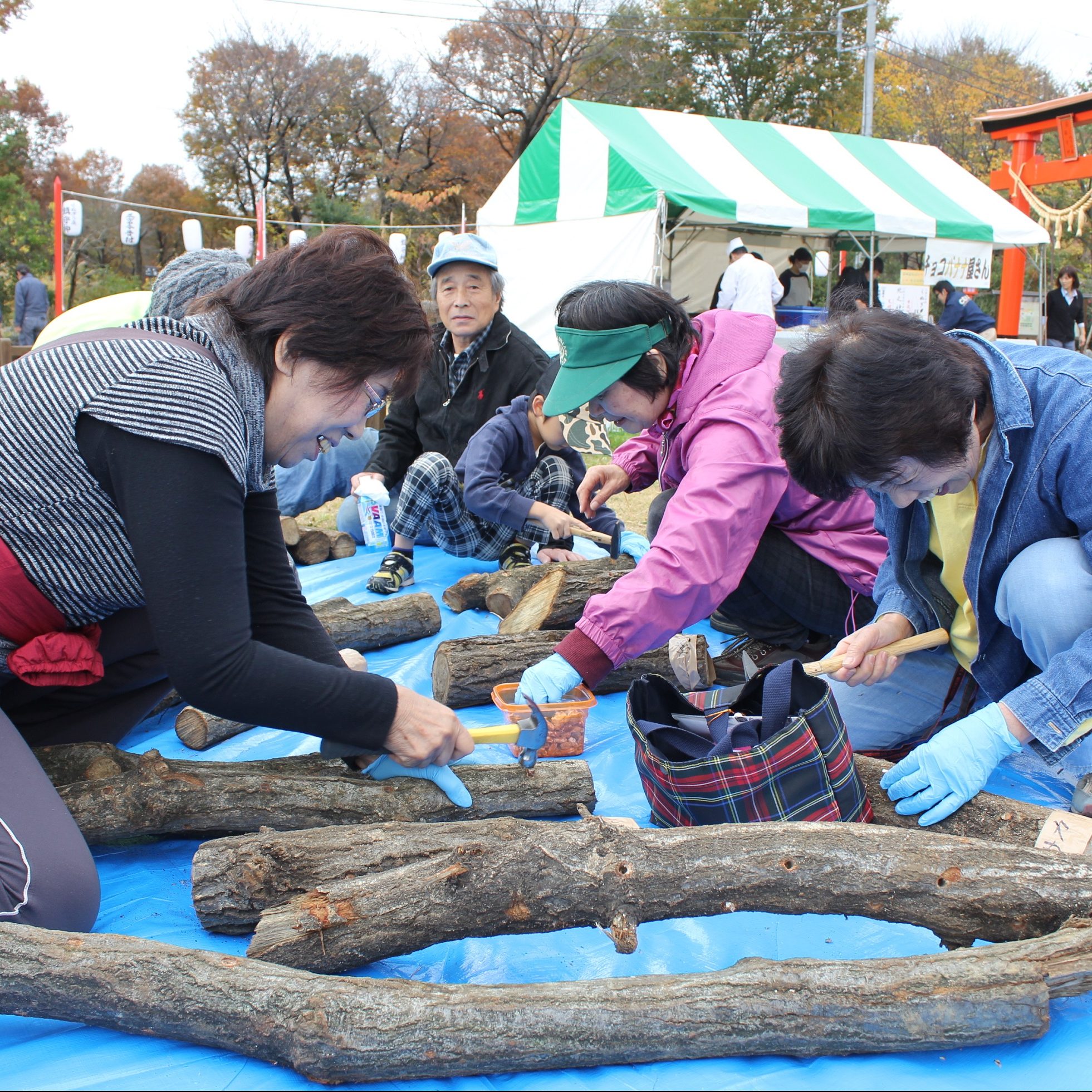 2/25 Volunteer Cleaning & Leaf Sweeping & Shiitake Mushroom Planting Experience Participants Wanted!!!