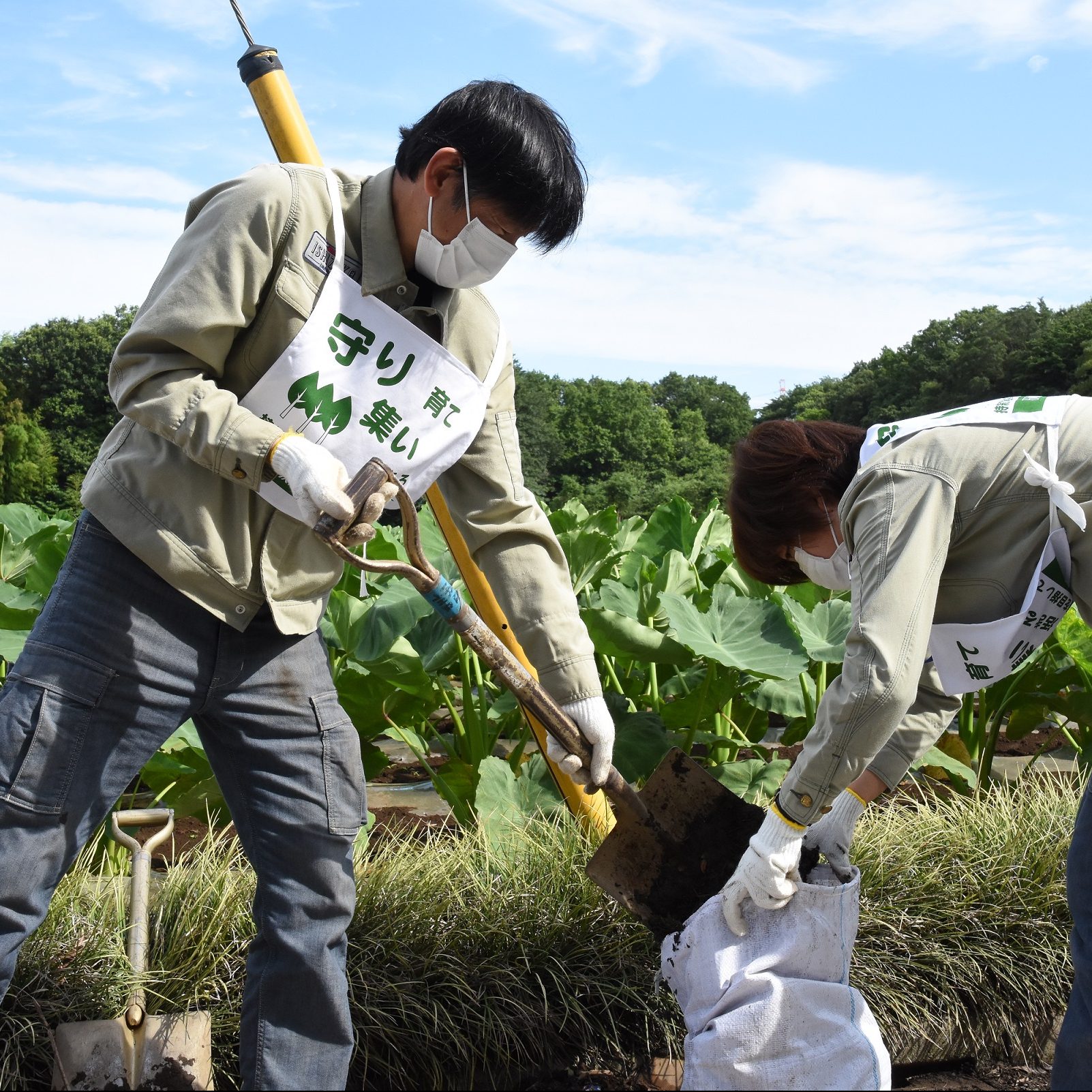 We are looking for participants for the “Zero Waste Campaign” public road cleaning volunteer event on Sunday, June 23rd!