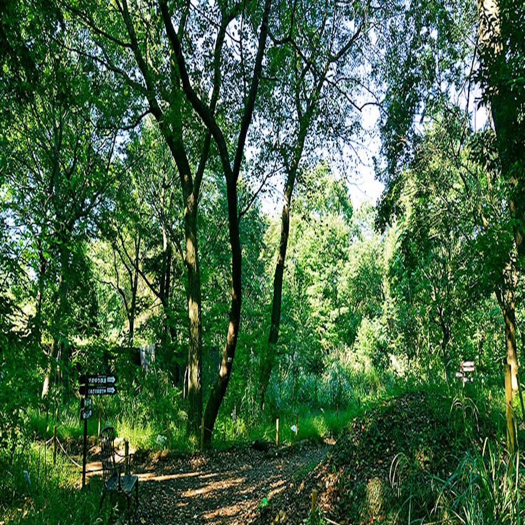 FY2021 Forest Conservation Activity Expenses Report